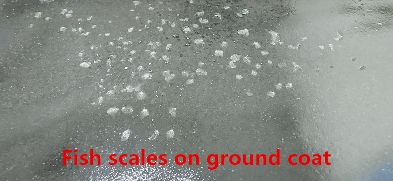 Fish scales on ground coat