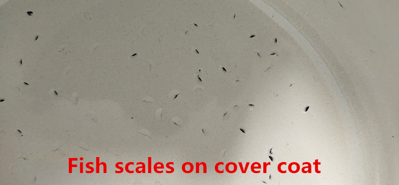 Fish scales on cover coat